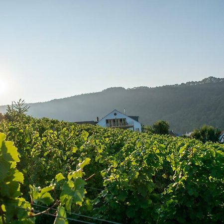 Weingut Johanneshof مينهايم المظهر الخارجي الصورة