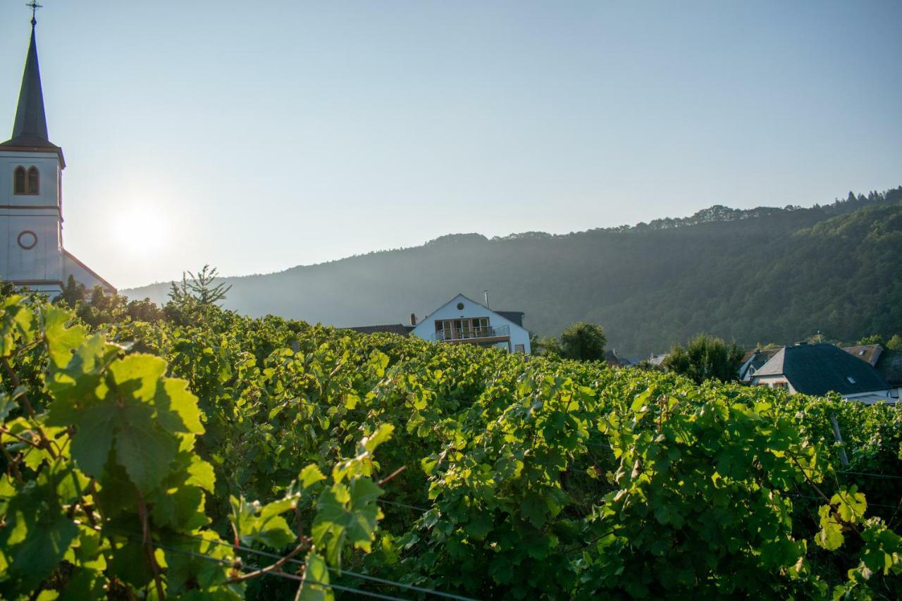 Weingut Johanneshof مينهايم المظهر الخارجي الصورة