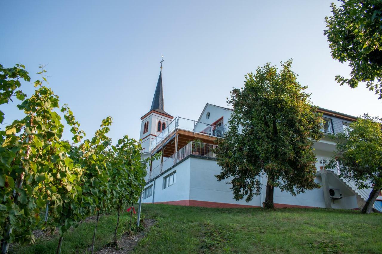 Weingut Johanneshof مينهايم المظهر الخارجي الصورة