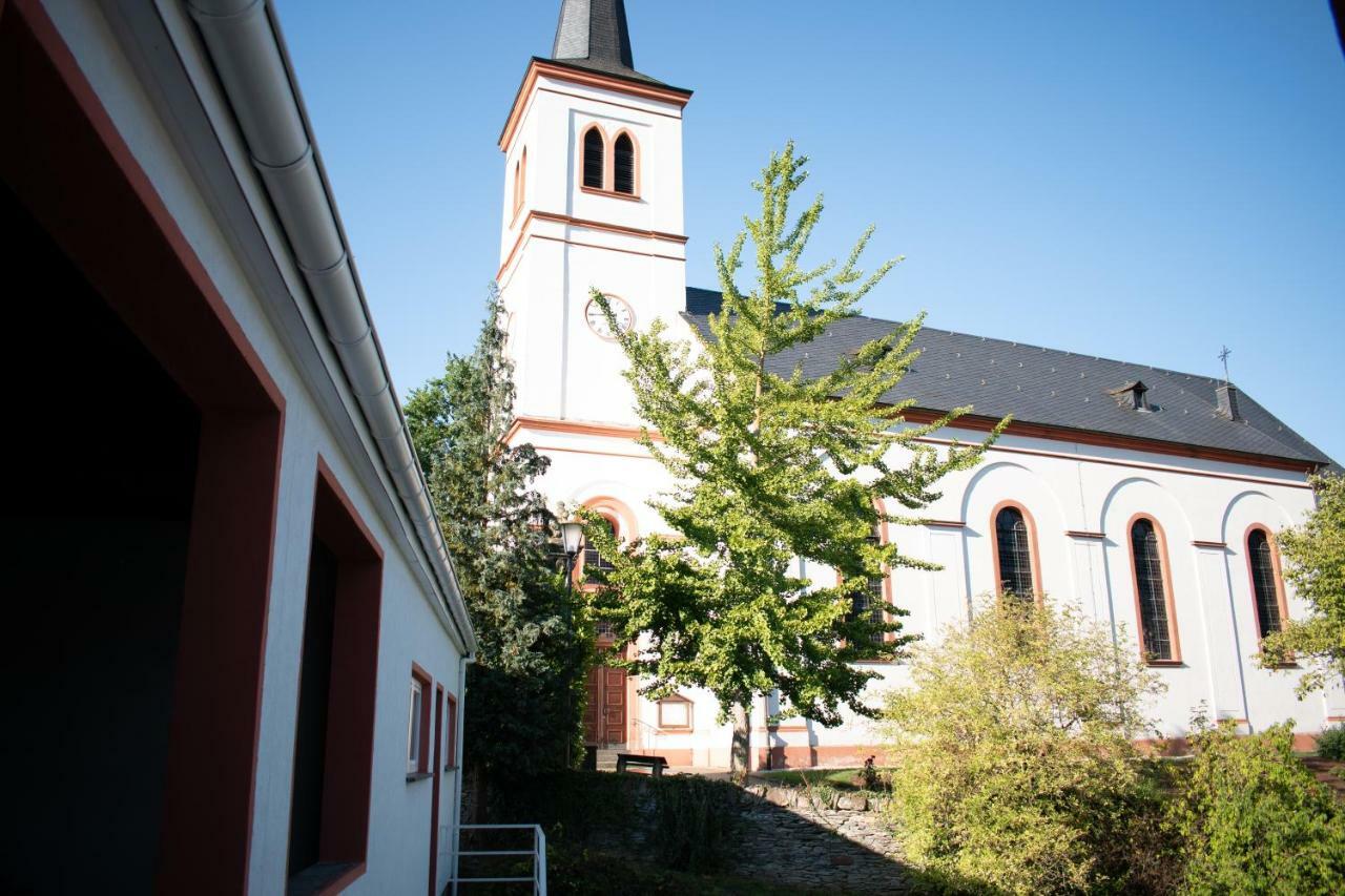 Weingut Johanneshof مينهايم المظهر الخارجي الصورة