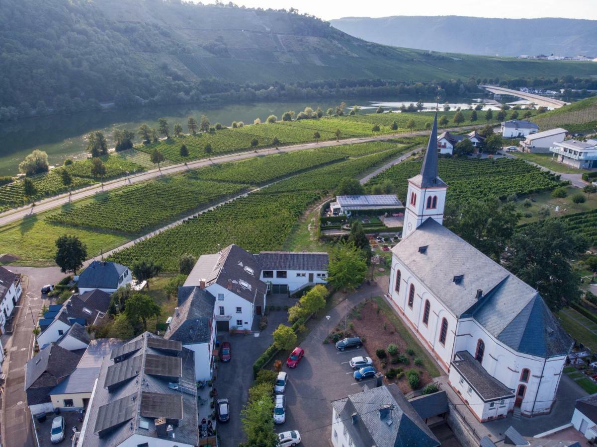 Weingut Johanneshof مينهايم المظهر الخارجي الصورة